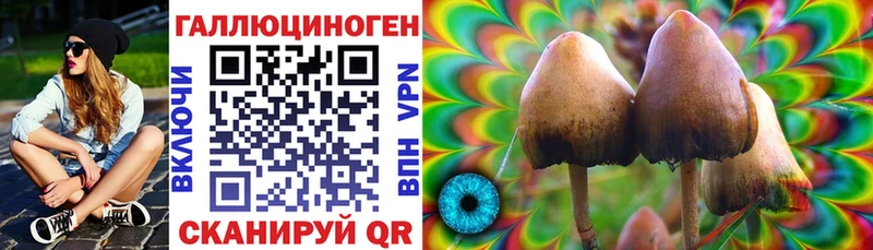 Галлюциногенные грибы Cubensis  Ленинск 